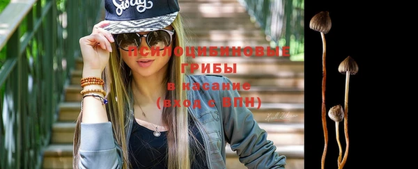 молекула духа Бугульма