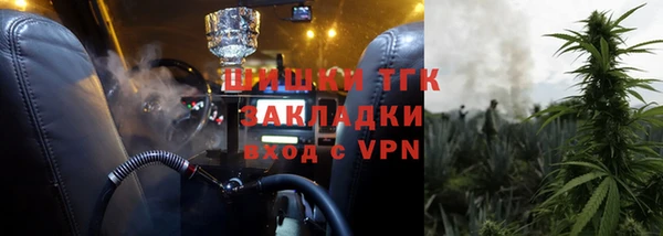 амф Бородино