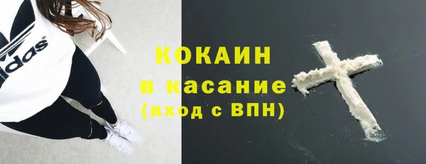 амф Бородино
