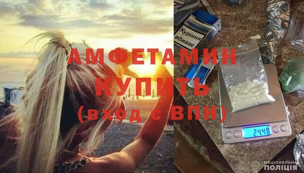 амф Бородино