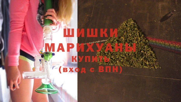 амф Бородино