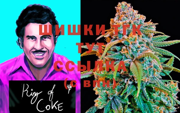 молекула духа Бугульма