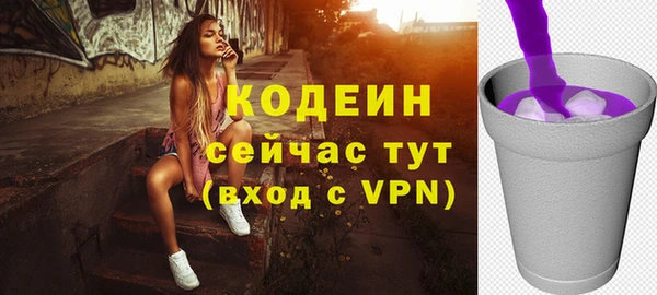 амф Бородино