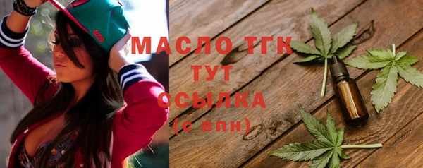 амф Бородино