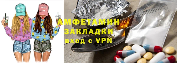 амф Бородино