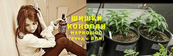 молекула духа Бугульма