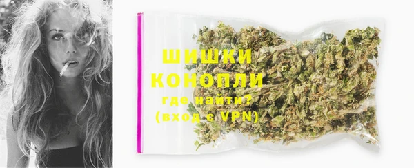 молекула духа Бугульма